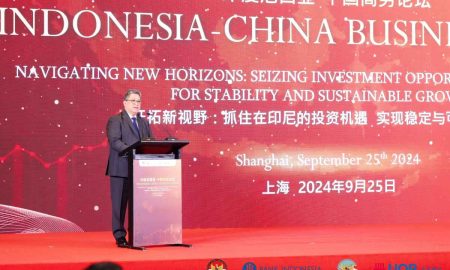 BI Rayu Investor China Garap Proyek Hilirasasi