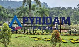 Siap Tembus Pasar Global, PYFA GROUP Genjot Produksi 3 Kali Lipat