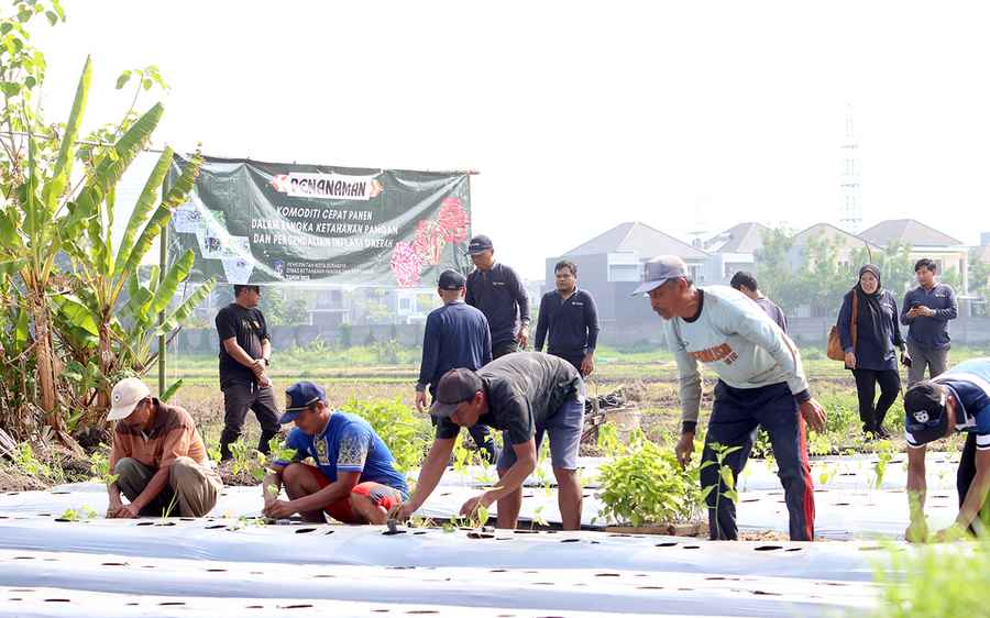 BPS : Statistik Berkualitas Dorong Kemajuan Bangsa