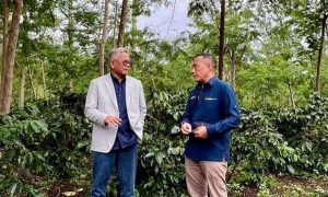 Laba Capai Rp15,37 Miliar, Palmco Bawa Java Coffee Tembus Pasar Internasional