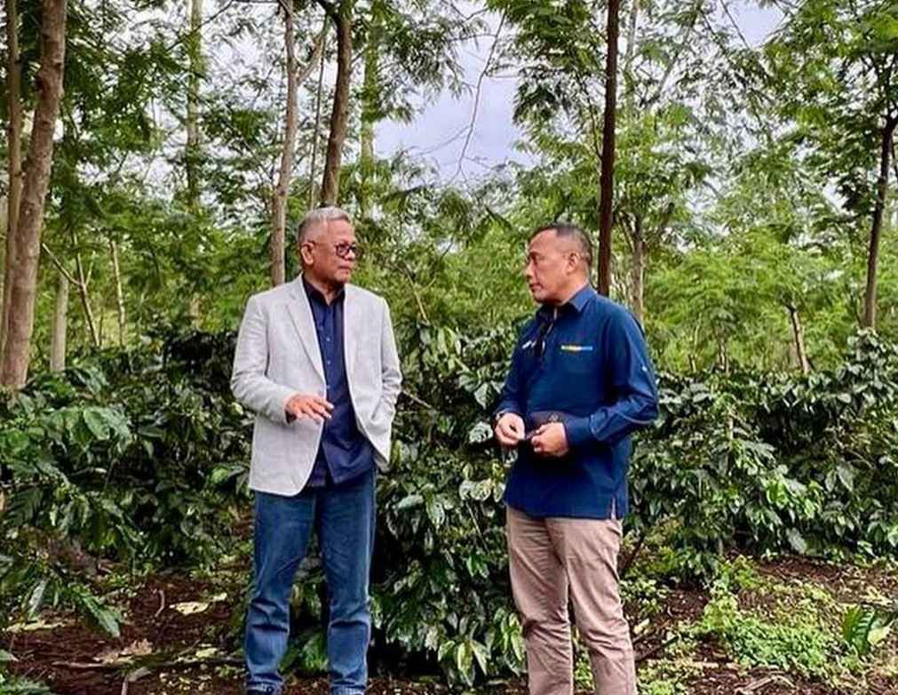 Laba Capai Rp15,37 Miliar, Palmco Bawa Java Coffee Tembus Pasar Internasional Laba Capai Rp15,37 Miliar, Palmco Bawa Java Coffee Tembus Pasar Internasional