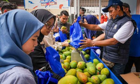 Diberdayakan BRI, Petani Mangga Bondowoso Mampu Naikkan Skala Usaha