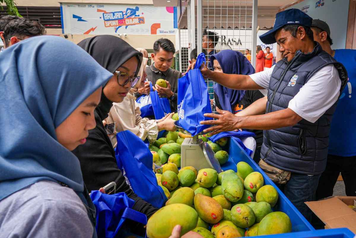 Diberdayakan BRI, Petani Mangga Bondowoso Mampu Naikkan Skala Usaha