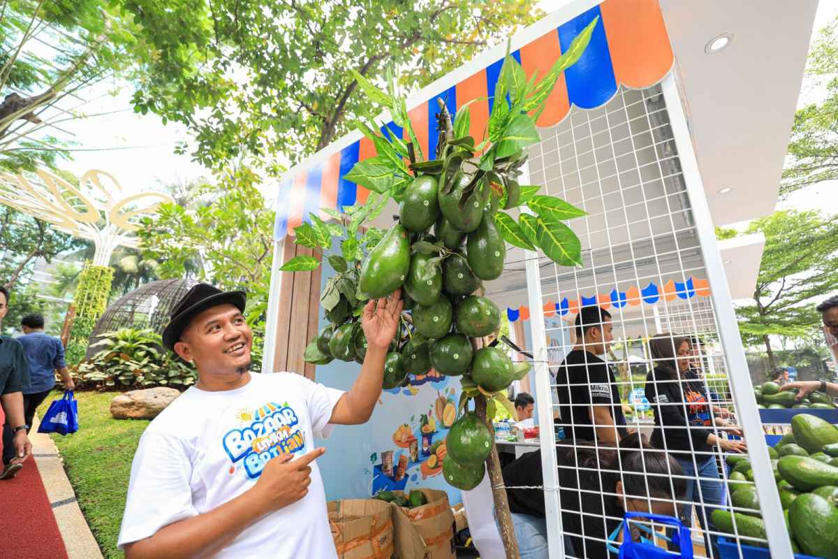 Petani Gembongan Sukses Budidayakan Alpukat Lewat BRI Klasterku Hidupku Petani Gembongan Sukses Budidayakan Alpukat Lewat BRI Klasterku Hidupku