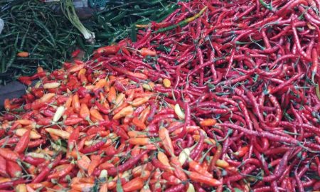 Desember 2024, BPS: Inflasi Sebesar 0,44 Persen
