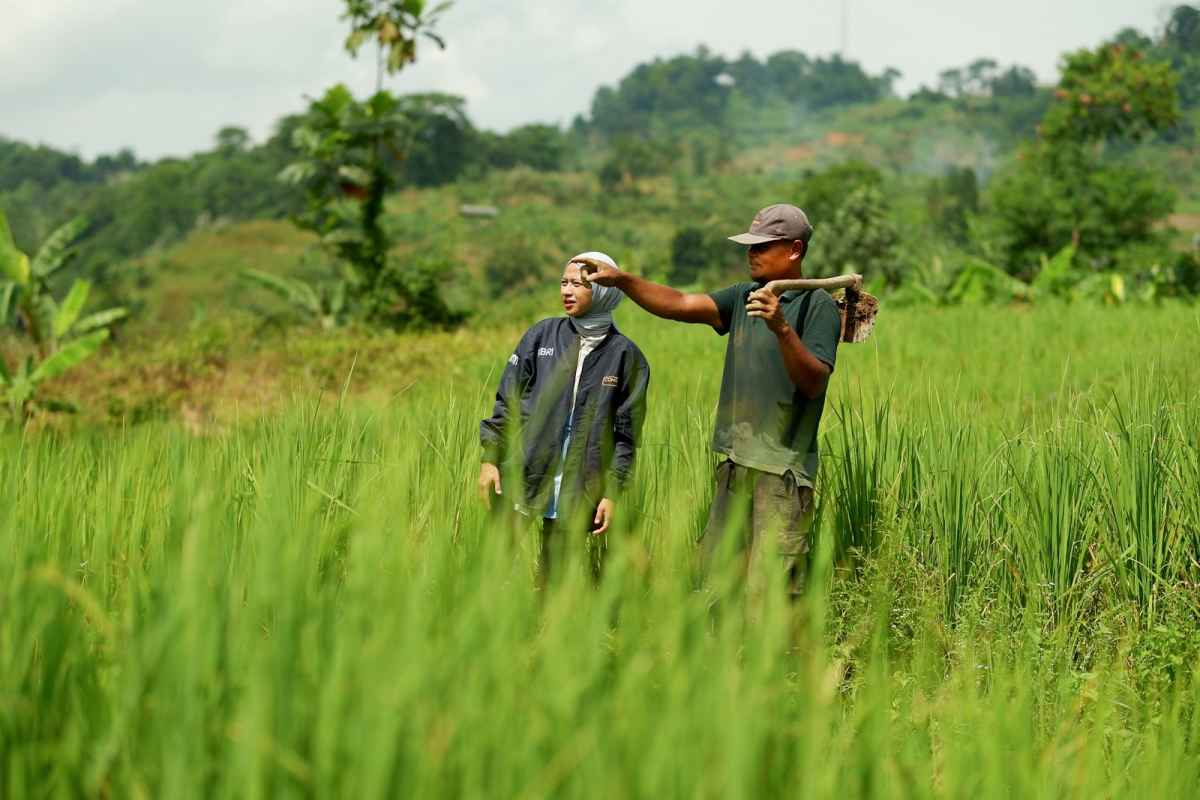 Dorong Pembiayaan, BRI Kucurkan KUR Rp184,98 Triliun untuk 4 Juta UMKM Selama 2024