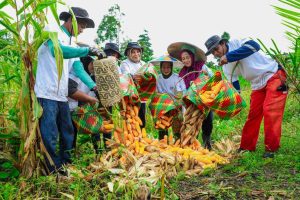 BRI berdayakan lingkungan sekitar untuk kesejahteraan petani/Foto: BRI