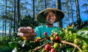 Terapkan Bisnis Berkelanjutan, BRI Sabet  Dua Penghargaan Internasional dari The Asset Triple A