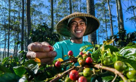 Terapkan Bisnis Berkelanjutan, BRI Sabet  Dua Penghargaan Internasional dari The Asset Triple A