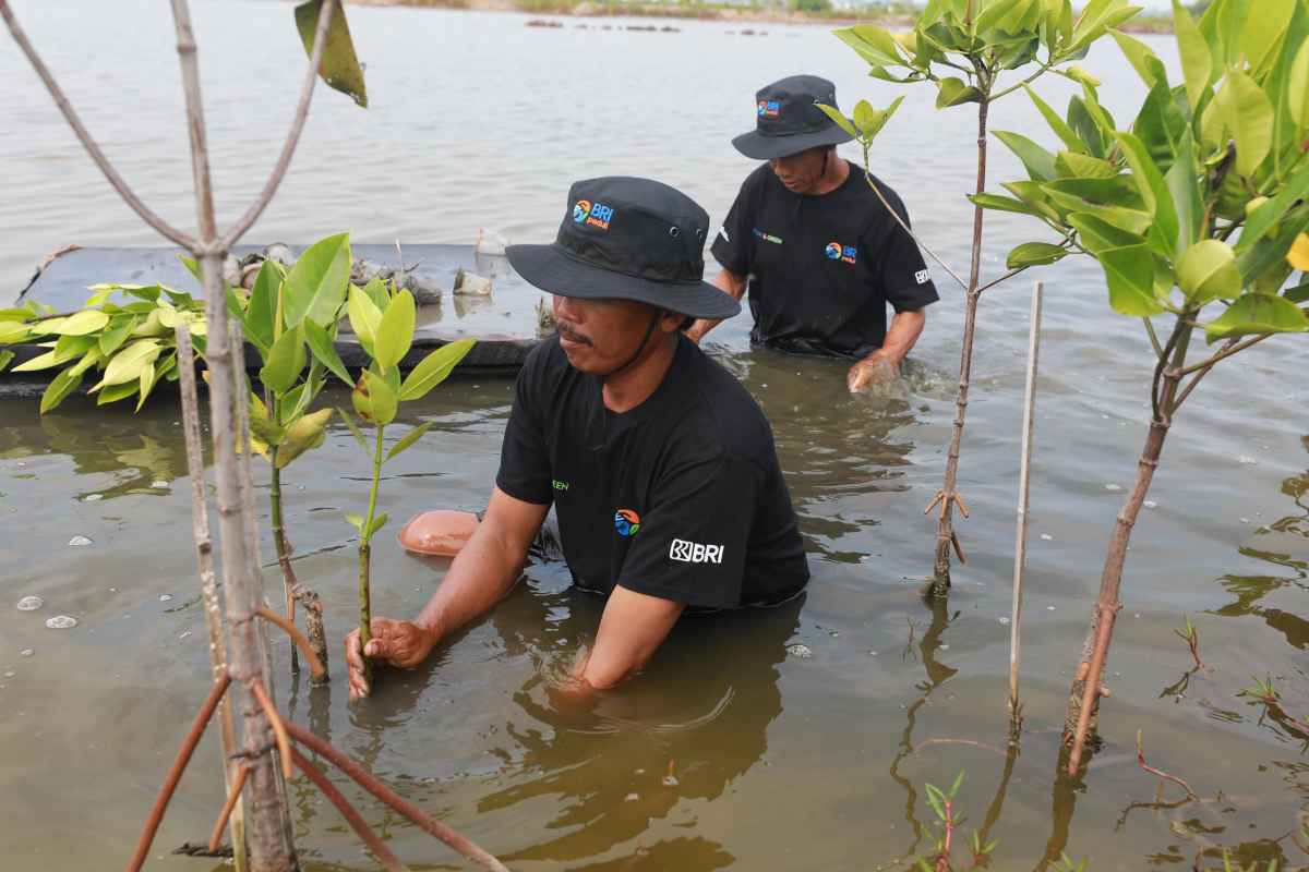 Peringati Hari Lingkungan Hidup Sedunia, BRI Pertegas Komitmen Jaga Ekosistem Lingkungan melalui BRI Menanam–Grow & Green