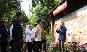 Panen Raya Kopi Ijen, Wapres Dukung Genjot Hilirisasi, Produktivitas dan Branding Kopi Indonesia
