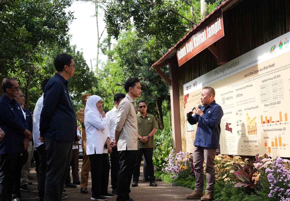 Panen Raya Kopi Ijen, Wapres Dukung Genjot Hilirisasi, Produktivitas dan Branding Kopi Indonesia Panen Raya Kopi Ijen, Wapres Dukung Genjot Hilirisasi, Produktivitas dan Branding Kopi Indonesia