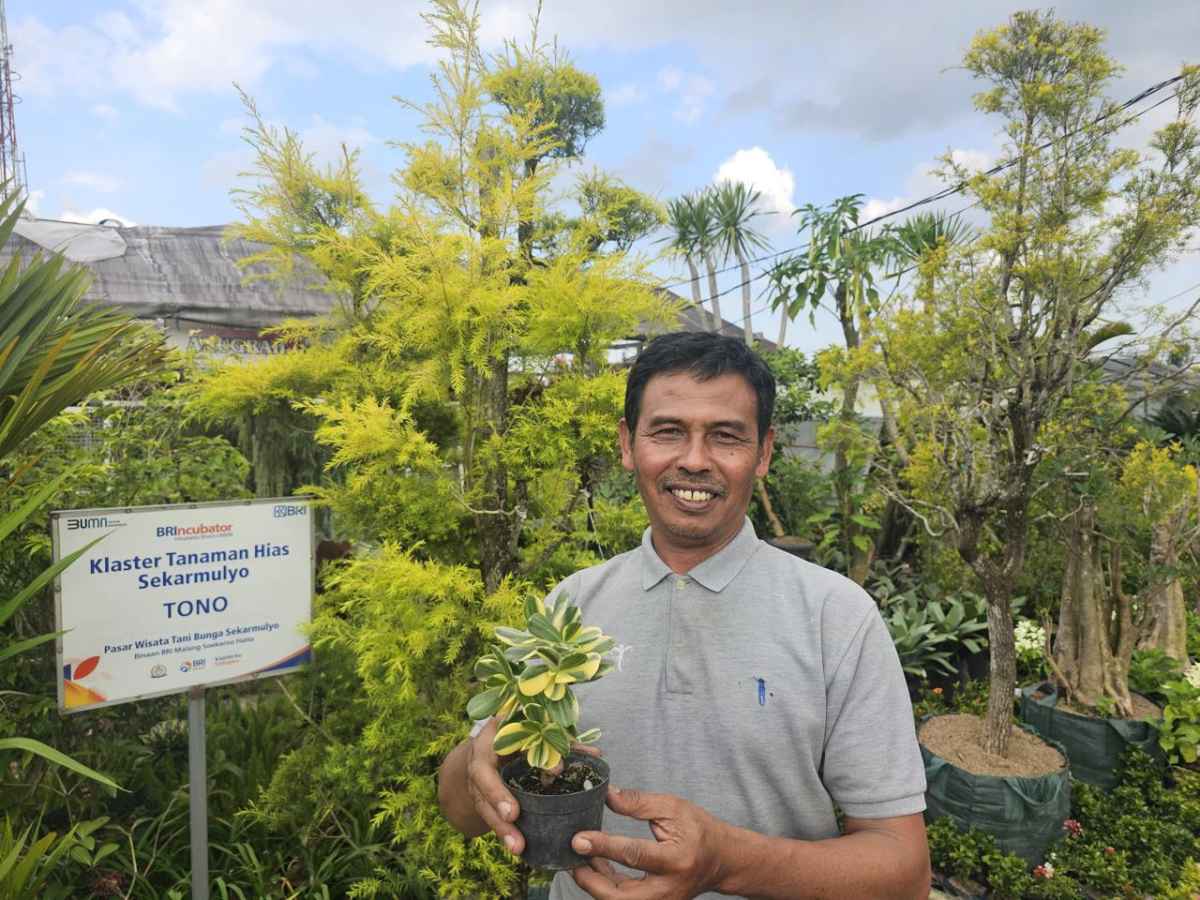 Dongkrak Ekonomi Warga Sekitar, Klaster Usaha Tanaman Hias Binaan BRI Jadi Mata Pencaharian Dongkrak Ekonomi Warga Sekitar, Klaster Usaha Tanaman Hias Binaan BRI Jadi Mata Pencaharian