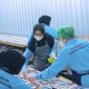 Dari Wilayah Kepulauan, Dukungan BRI Membuat "UMKM Aiko Maju" Sukses Pasok Program MBG