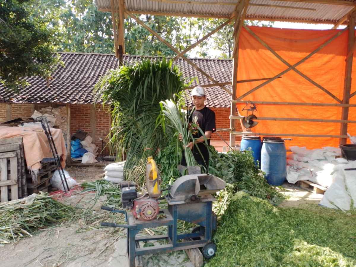 Pengusaha Pakan Ternak Asal Ponorogo Ini Buktikan KUR BRI Bisa Bikin Usaha Berkembang Pengusaha Pakan Ternak Asal Ponorogo Ini Buktikan KUR BRI Bisa Bikin Usaha Berkembang