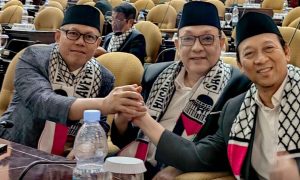 Pemerintah Indonesia Harus Tegas, Senator Dailami: DPD RI Teguh Dukung Palestina