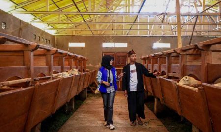 Penyaluran KUR BRI Dorong Setengah Juta Pengusaha UMKM Naik Kelas