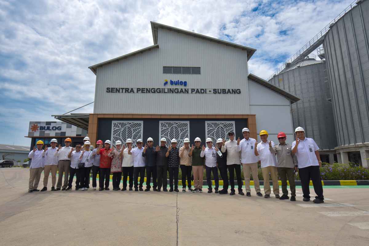 Panja Komisi IV DPR Bandingkan Kualitas Beras Premium dengan Impor Panja Komisi IV DPR Bandingkan Kualitas Beras Premium dengan Impor