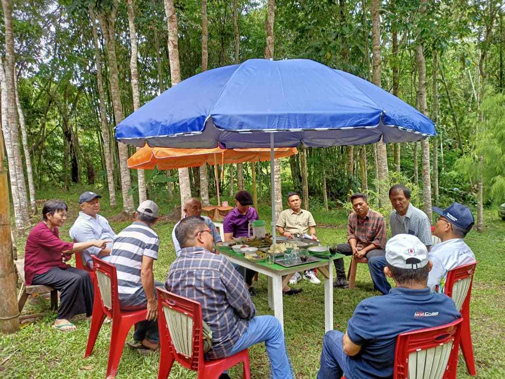 Senator Stefa: Green Democracy Gagasan Brilian Dari SBN