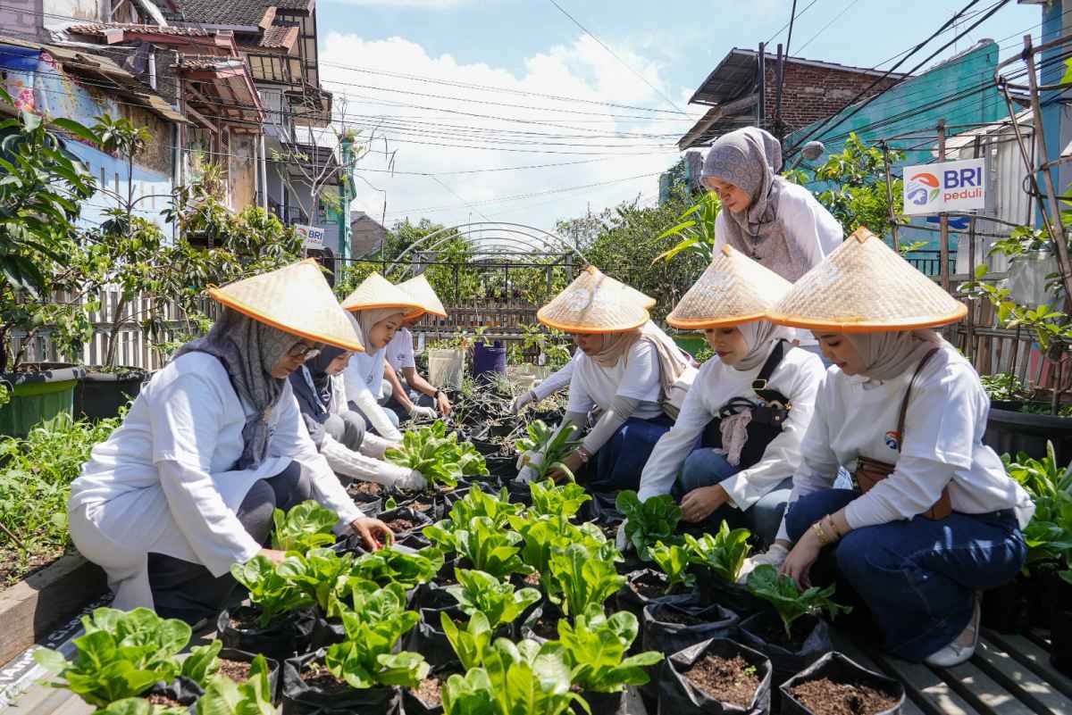 Peringati Hari Pangan Sedunia, BRI Peduli Komit Dukung Ketahanan Pangan Melalui Panen Raya BRInita Peringati Hari Pangan Sedunia, BRI Peduli Komit Dukung Ketahanan Pangan Melalui Panen Raya BRInita