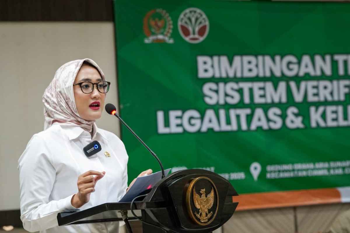 250 Ton Beras Thailand Ilegal Masuk Indonesia, Legislator Komisi IV DPR Desak Usut Tuntas