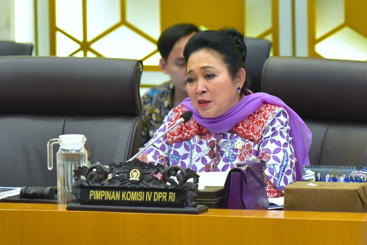 Raker Pascabencana, Ketua Komisi IV DPR Dorong Penguatan Anggaran Pemulihan