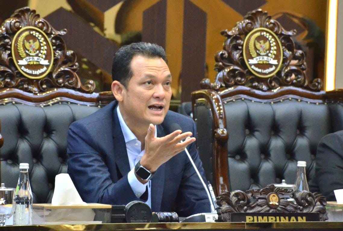 Wakil Ketua Baleg Martin Manurung: KMKN akan Jadi Pengumpul Royalti Terpusat