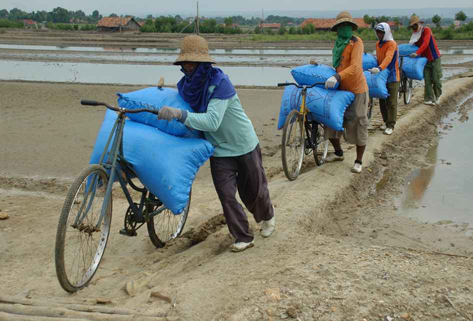 Garam Asing Banjiri Pasar, DPR Desak Pemerintah Stop Impor dari Australia Garam Asing Banjiri Pasar, DPR Desak Pemerintah Stop Impor dari Australia
