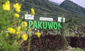 Lewat Program Desa BRILiaN, Desa Pajambon di Kuningan Jadi Contoh Transformasi Ekonomi Desa Berbasis Potensi Lokal