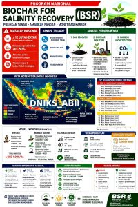 Ancaman Senyap Salinisasi Lahan Sawah dan Peluang Biochar untuk Kemandirian Pangan