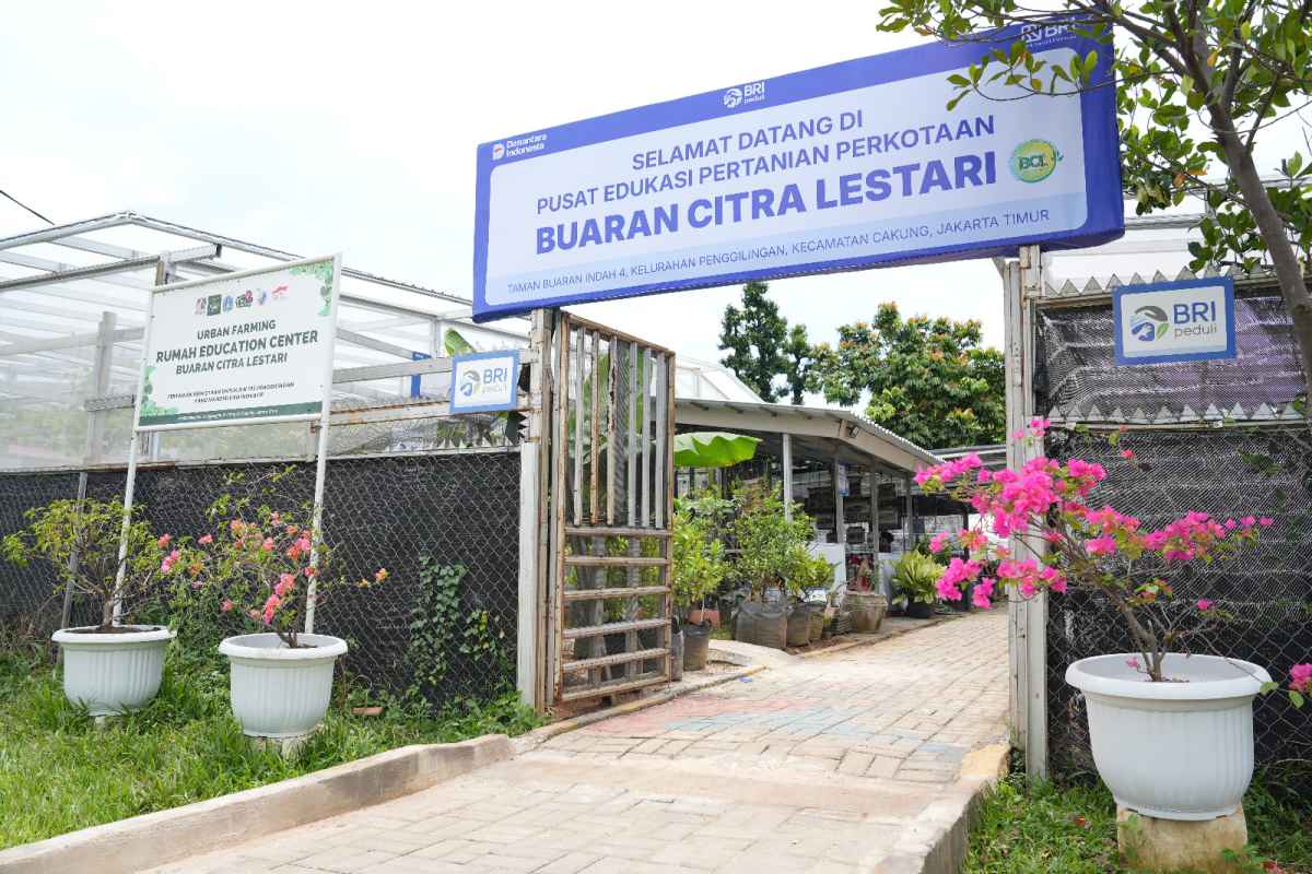 Perempuan Berdaya Lewat BRInita, KWT Buaran Citra Lestari Maksimalkan Lahan Sempit untuk Tanaman Produktif