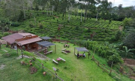 Kampung Koboi Tugu Selatan, Wujud Transformasi Desa Berbasis Potensi Lokal dalam Program Desa BRILiaN