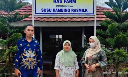 UMKM Susu Kambing Ras Farm Tumbuh Pesat Berkat Dukungan KUR BRI