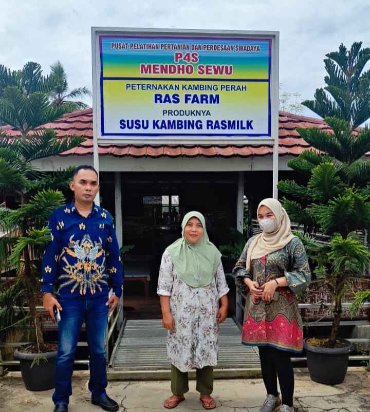UMKM Susu Kambing Ras Farm Tumbuh Pesat Berkat Dukungan KUR BRI