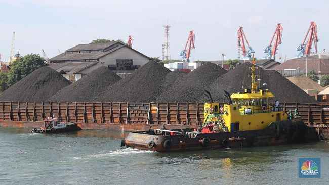 NEXT Indonesia Center: Kebocoran Ekspor Batu Bara RI Tembus US$20 Miliar Akibat Praktik Trade Misinvoicing