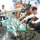 Gubernur Andra Sony Apresiasi Pelaksanaan PM-AAS 100 Ha di Provinsi Banten Gubernur Andra Sony Apresiasi Pelaksanaan PM-AAS 100 Ha di Provinsi Banten
