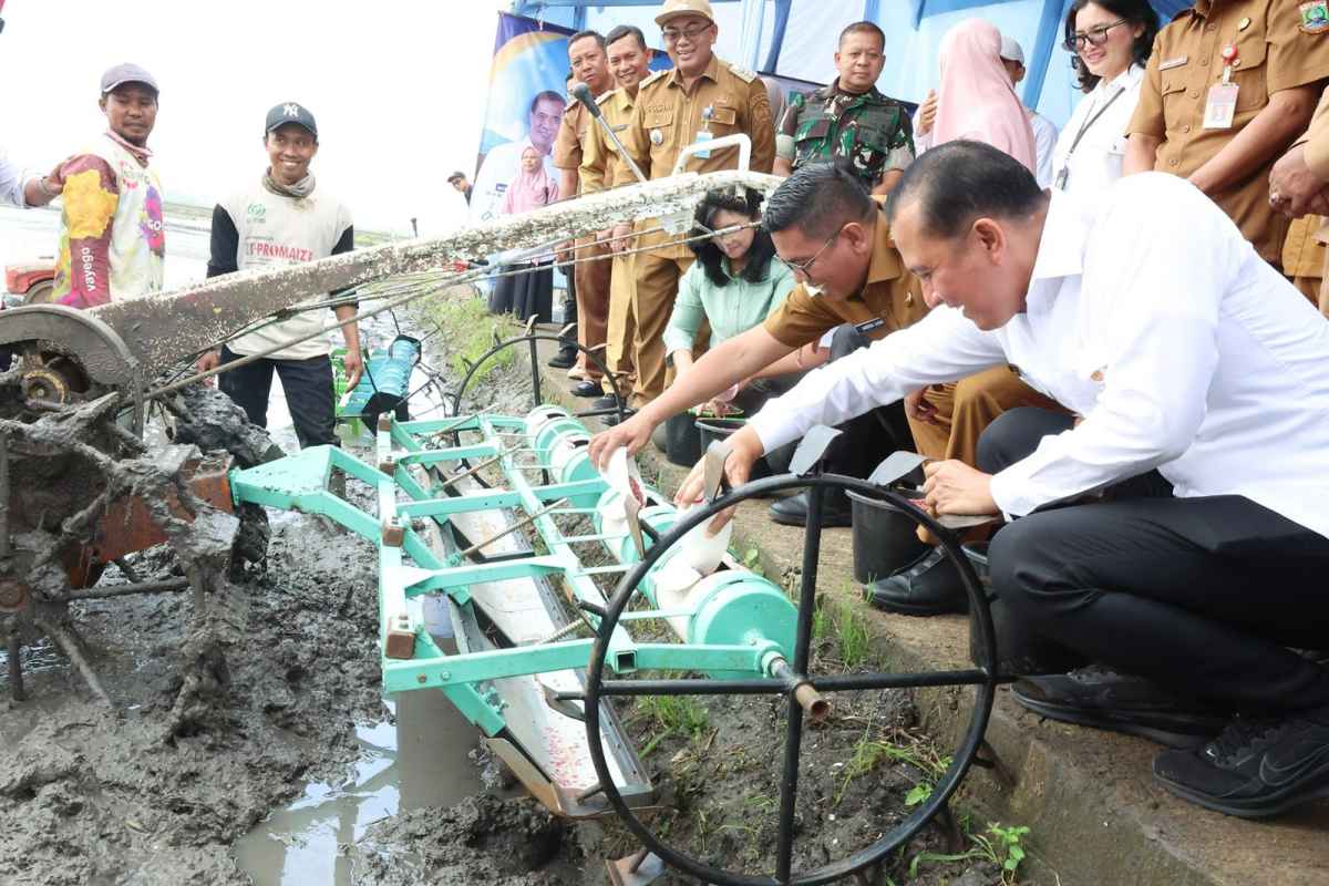Gubernur Andra Sony Apresiasi Pelaksanaan PM-AAS 100 Ha di Provinsi Banten