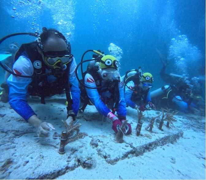 Pulihkan Ekosistem Wisata Laut di Aceh, Pekerja BRI Lakukan Transplantasi Terumbu Karang di Perairan Kepulauan Sabang