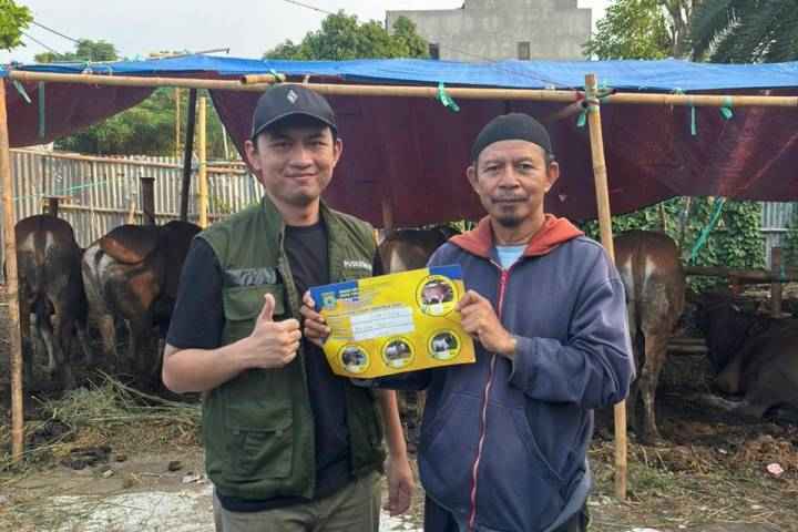 Jelang Idul Adha 1414 H, Pemkot Tangerang Awasi Hewan Kurban Jelang Idul Adha 1414 H, Pemkot Tangerang Awasi Hewan Kurban