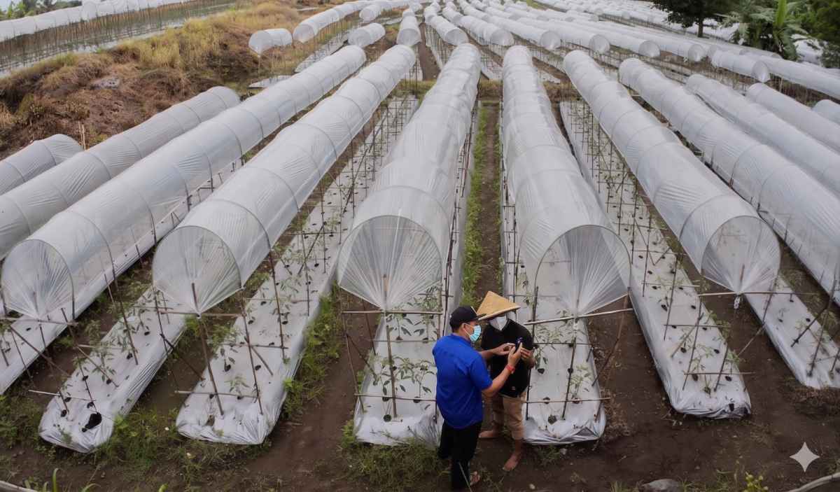 Dukung Ketahanan Pangan, BRI Salurkan KUR Rp65,95 Triliun, Jangkau 558 Ribu Petani Hingga April 2026