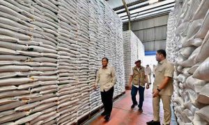 Stok Beras Bulog Menggunung, Komisi IV DPR Ingatkan Risiko Kerusakan dan Kerugian Negara