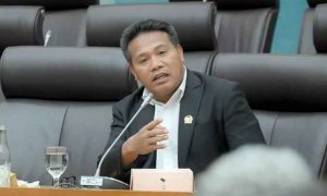 Harga TBS Sawit Anjlok, Komisi XII DPR Desak Pemerintah Segera Intervensi Pasar