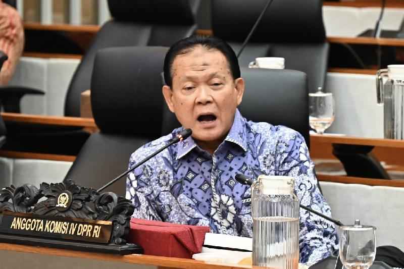 Komisi IV DPR: Kesejahteraan Nelayan hingga Daya Saing Ekspor Dibahas dalam Anggaran KKP 2027 Komisi IV DPR: Kesejahteraan Nelayan hingga Daya Saing Ekspor Dibahas dalam Anggaran KKP 2027