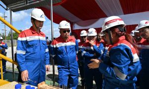 Komisi VI DPR: Produksi Minyak WK Rokan Harus Dukung Target Kemandirian Energi 2029